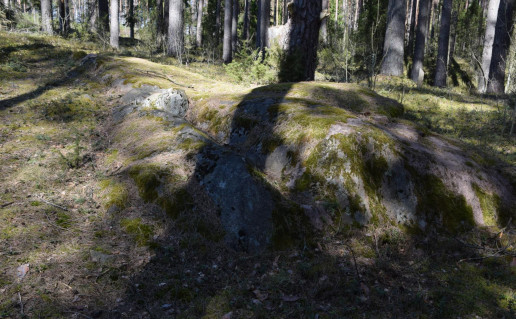 6_Lakajos akmuo (3).jpg